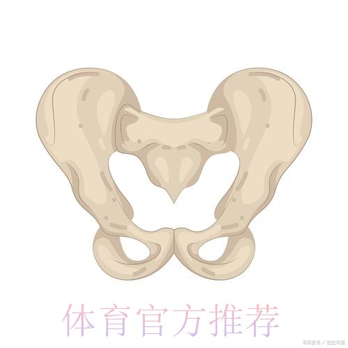 科贝电台：米利唐右腿内收肌不适 将接受检查